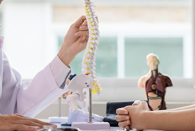 脊髄骨盤模型を用いて患者に説明を行う男性医師